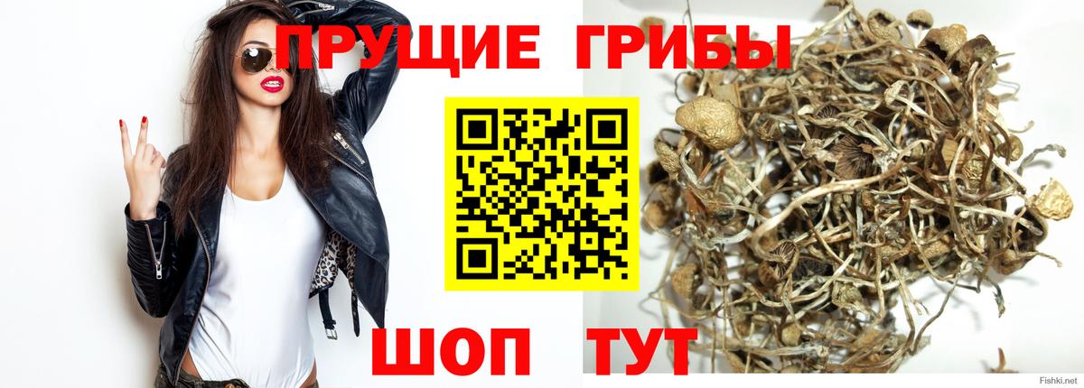 Щёлково  Галлюциногенные грибы мухоморы  Вход с VPN 